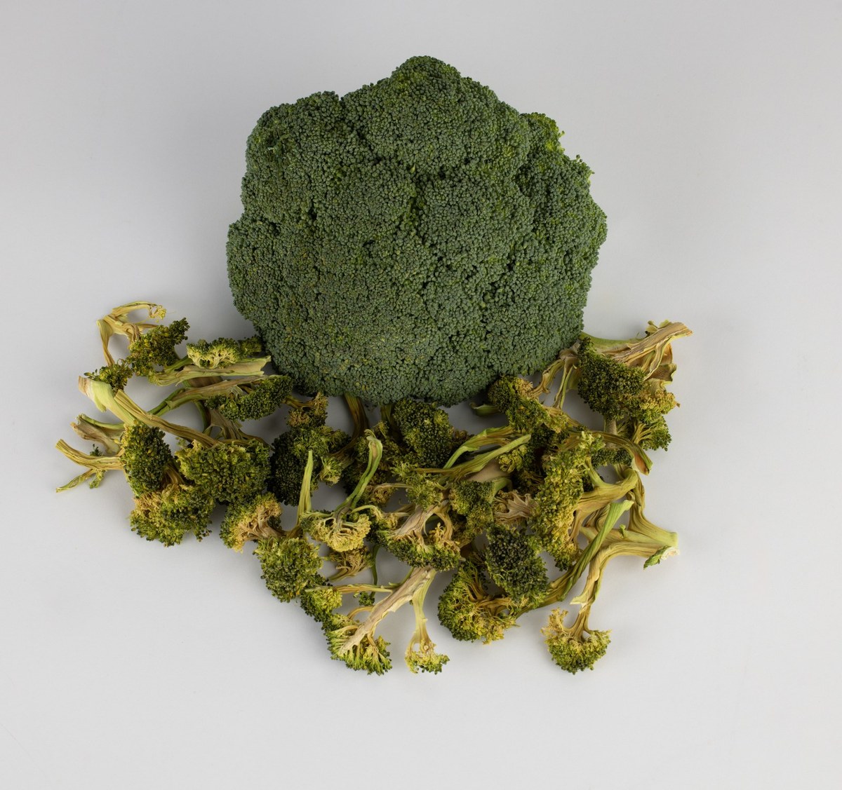 Fresh and dried broccoli florets