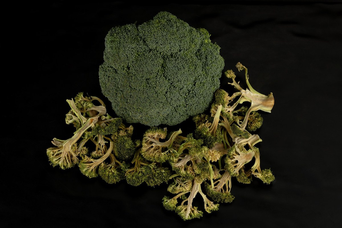 Fresh and dried broccoli florets