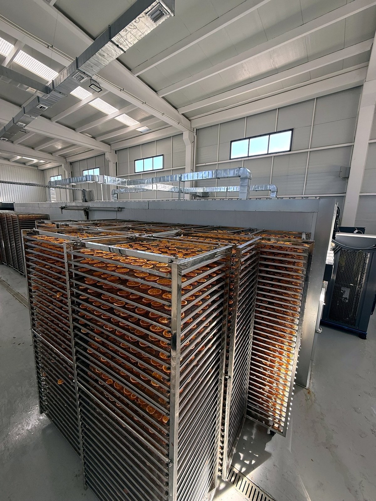 Drying carts in the hall