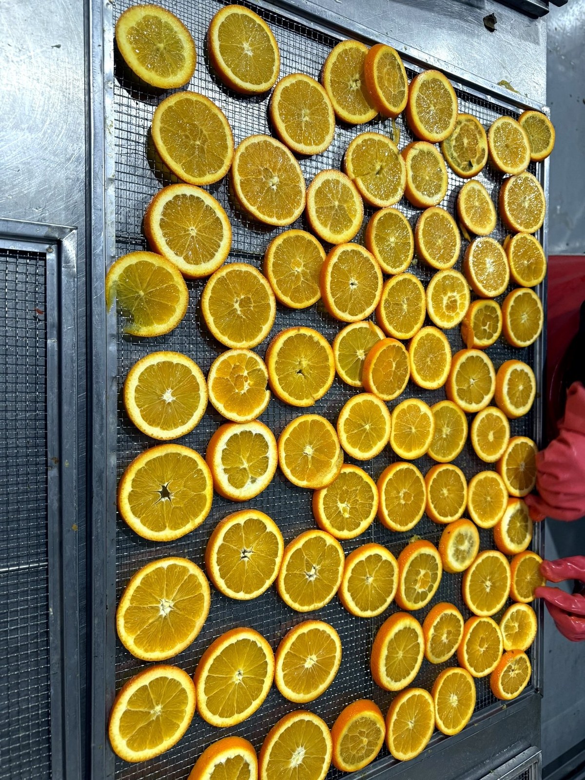 Citrus slices, calibrated and dried