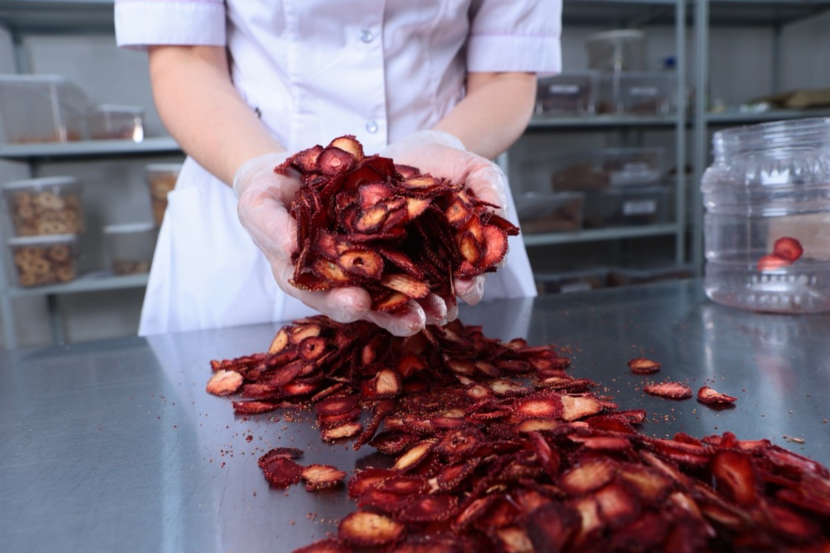Inspection of dried strawberry slices