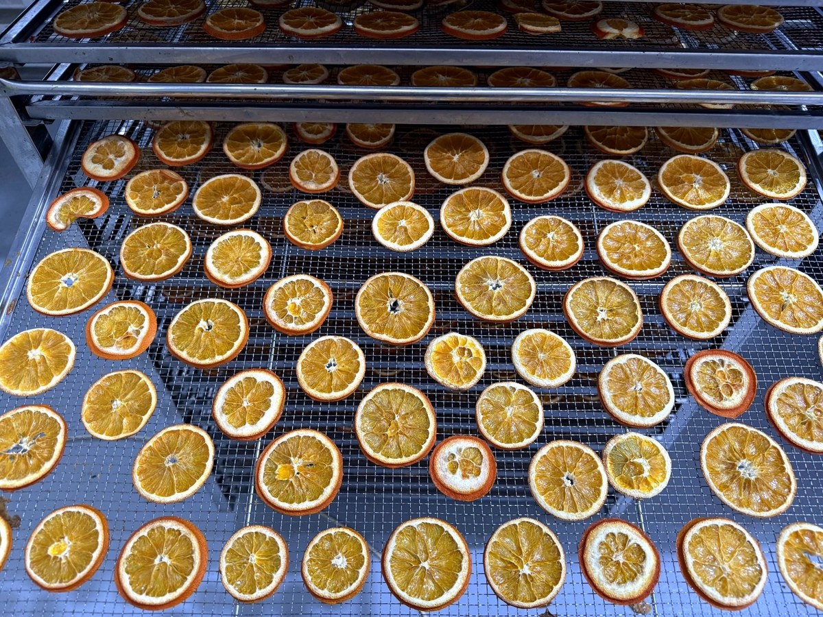 Orange slices on drying trays — Türkiye lines