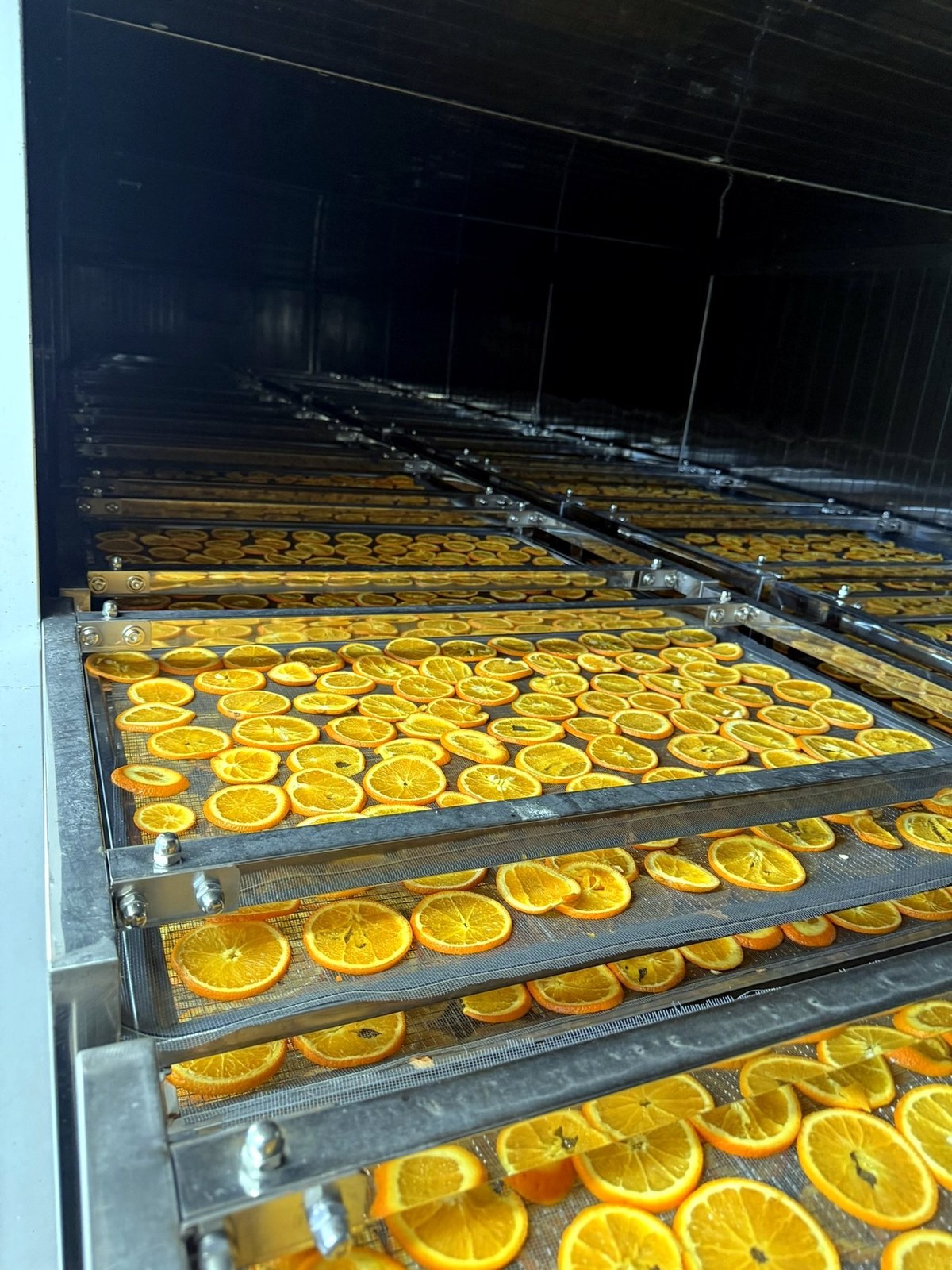 Inside the hot-air drying tunnel